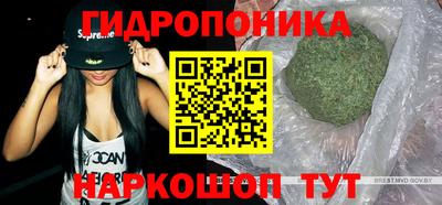 a pvp Кандалакша