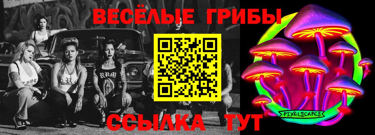 Галлюциногенные грибы MAGIC MUSHROOMS  Вход с VPN  Армавир 